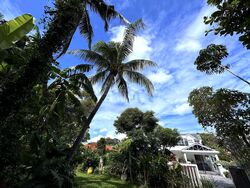 Toh Estate (D17), Detached #470169701